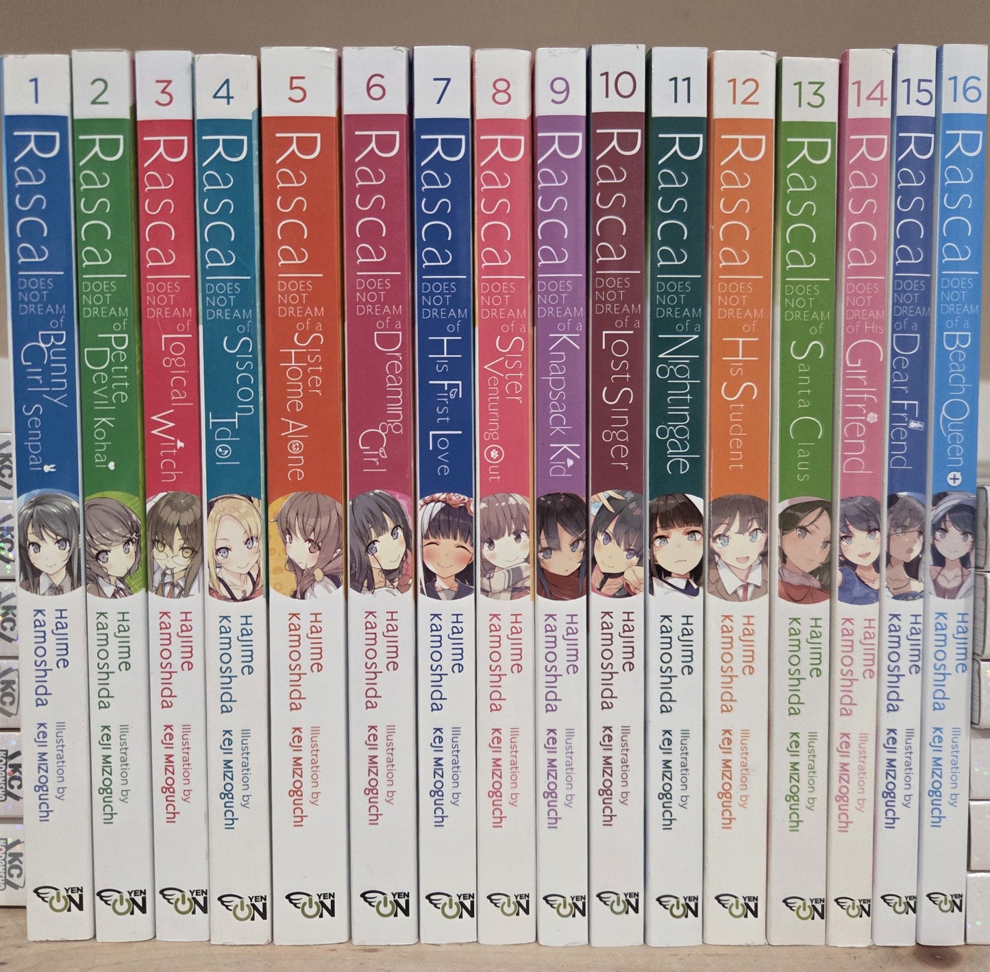 Rascal Does Not Dream Vol. 1-16 Light Novel Series Set English
