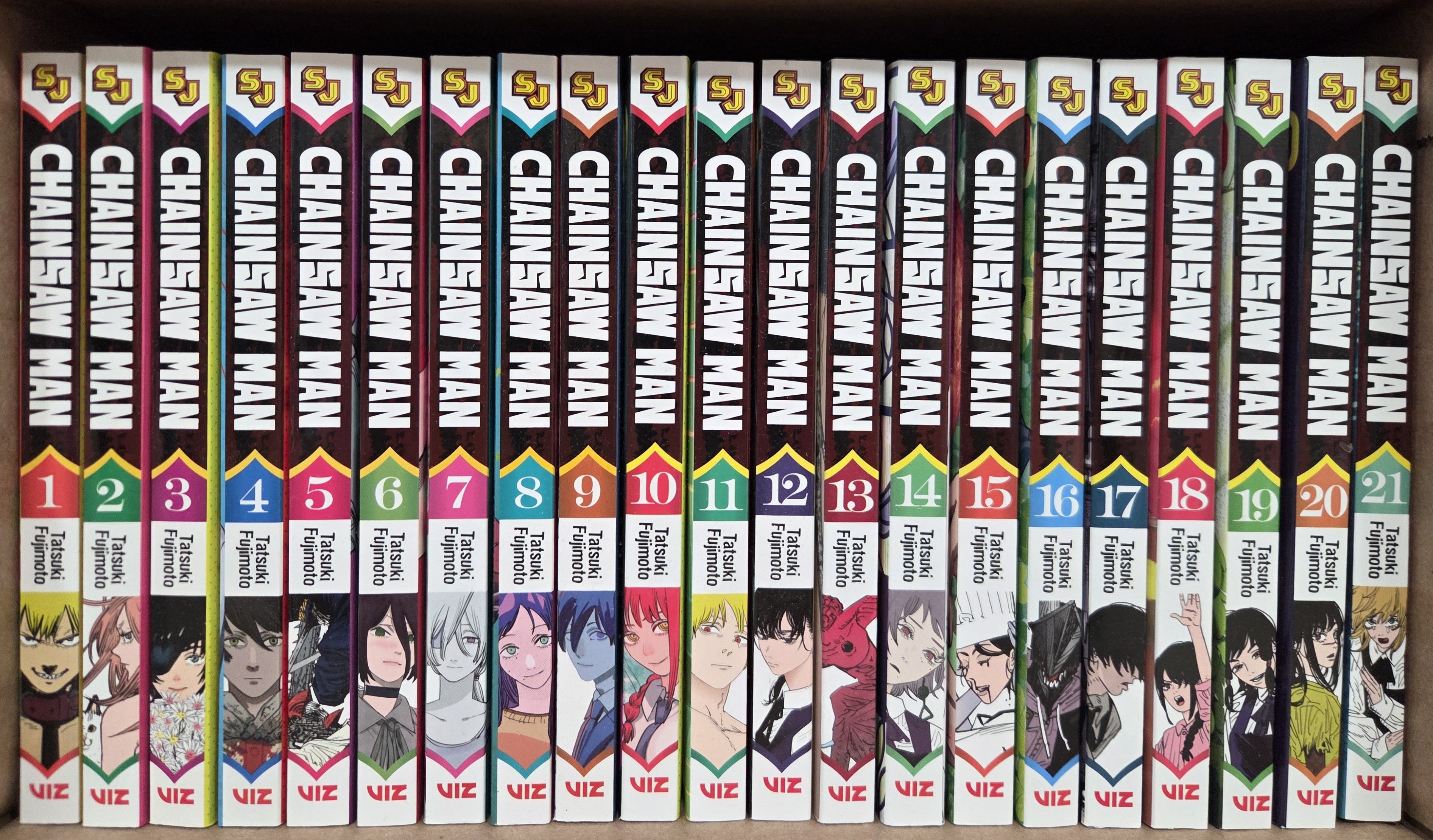 Chainsaw Man Vol. 1-21 Manga Set English – BKManga